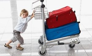 Правила перевозки багажа в Демидовском экспрессе